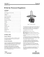 Emerson Tartarini M Series Instruction Manual preview