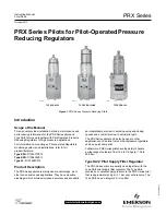 Emerson Tartarini PRX Series Instruction Manual preview