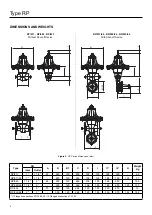 Preview for 4 page of Emerson TARTARINI RP Series Instruction Manual