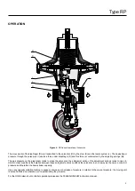 Preview for 5 page of Emerson TARTARINI RP Series Instruction Manual