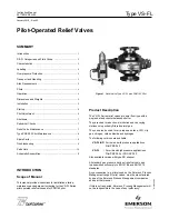 Emerson VS-FL Series Instruction Manual предпросмотр