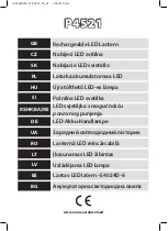 Emos P4521 E4024D-6 Instructions Manual preview