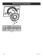 Preview for 38 page of Empire Comfort Systems DVP FP3 4 Series Installation Instructions And Owner'S Manual