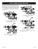 Предварительный просмотр 29 страницы Empire Comfort Systems VFDM18LBWN-3 Installation Instructions And Owner'S Manual