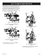 Предварительный просмотр 31 страницы Empire Comfort Systems VFLL38FP30L Installation Instructions And Owner'S Manual