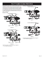 Preview for 33 page of Empire Comfort Systems VFP20IN20L-1 Installation Instructions And Owner'S Manual