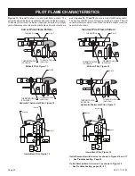 Предварительный просмотр 20 страницы Empire Comfort Systems White Mountain Hearth VFP24FP20LN-1 Installation Instructions And Owner'S Manual