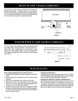 Preview for 11 page of Empire Heating Systems DV-210-7SG Owner'S Manual