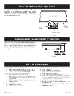 Preview for 13 page of Empire Heating Systems DV-210 Installation Instructions And Owner'S Manual