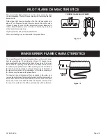 Preview for 13 page of Empire Heating Systems DVC55SPPXLP-1 Installation Instructions And Owner'S Manual