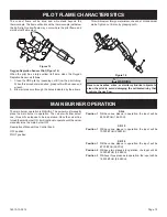 Предварительный просмотр 15 страницы Empire Heating Systems SR-10BC-3 Installation Instructions And Owner'S Manual