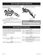 Preview for 16 page of Empire Heating Systems SR-10W-1 Installation Instructions And Owner'S Manual