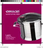 emsan Lapis Instructions & Certificate Of Warranty preview