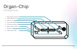 Предварительный просмотр 9 страницы Emulate Zoe-CM2 User Manual