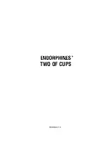 Endorphines TWO OF CUPS Instruction Manual предпросмотр