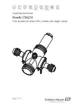 Preview for 1 page of Endress+Hauser CYA251 Operating Instructions Manual