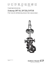 Endress+Hauser Deltatop DP71B Operating Instructions Manual предпросмотр