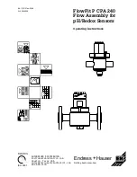 Endress+Hauser FlowFit P CPA 240 Operating Instructions Manual предпросмотр