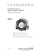 Endress+Hauser iTEMP TMT162 Brief Operating Instructions предпросмотр