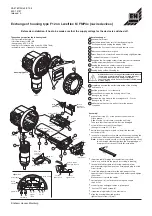 Предварительный просмотр 4 страницы Endress+Hauser Levelflex M FMP4 Series Manual