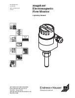 Endress+Hauser magphant Operating Manual предпросмотр