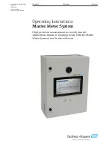 Endress+Hauser Master Meter System Operating Instructions Manual предпросмотр