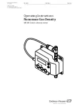 Endress+Hauser Nanomass Gas Density Operating Instructions Manual предпросмотр