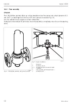 Предварительный просмотр 12 страницы Endress+Hauser Oxymax COS22D Operating Instructions Manual