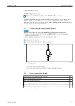 Предварительный просмотр 19 страницы Endress+Hauser Picomag IO-Link Operating Instructions Manual