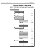 Preview for 8 page of Endress+Hauser Proline Promag 300 Description Of Device Parameters