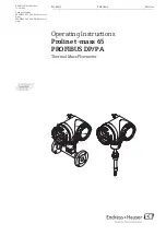 Endress+Hauser Proline t-mass 65 PROFIBUS DA Operating Instructions Manual предпросмотр