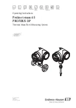 Предварительный просмотр 1 страницы Endress+Hauser Proline t-mass 65 PROFIBUS DP Operating Instructions Manual