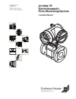 Endress+Hauser promag 30 Operating Manual предпросмотр