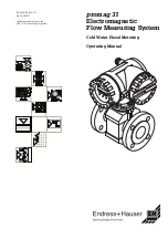 Endress+Hauser promag 31 Operating Manual предпросмотр