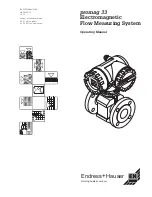 Endress+Hauser PROMAG 33 Operating Manual предпросмотр