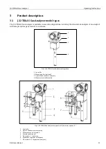 Предварительный просмотр 11 страницы Endress+Hauser SpectraSensors J22 TDLAS Operating Instructions Manual