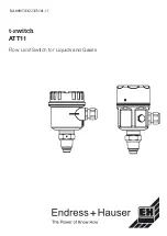 Endress+Hauser t-switch ATT11 Manual предпросмотр