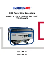 Endress ECO Power Line ESE 3000 BS Translation Of The Original Operating Manual предпросмотр