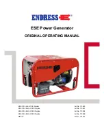 Предварительный просмотр 1 страницы Endress ESE 1006 DHG-GT ES Duplex Original Operating Manual