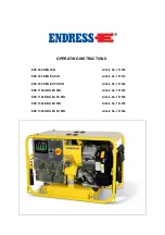 Endress ESE 1104 DBG ES FS DIN Operating Instructions Manual предпросмотр