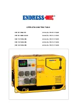 Endress ESE 1107 DBG DIN Operating Instructions Manual предпросмотр