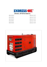 Endress ESE 20YW/RS Original Operating Manual предпросмотр