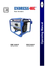 Endress ESE 2200 P Operating Manual предпросмотр