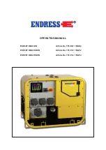 Endress ESE 607 DBG ES DIN Operating Manual предпросмотр