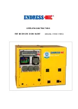 Endress ESE 608 DHG ES DI DUPLEX Operating Instructions Manual предпросмотр