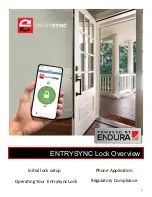 Endura EntrySync Manual preview