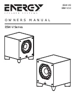 Energy ESW-V Series Owner'S Manual preview