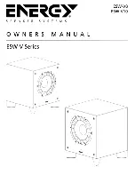 Предварительный просмотр 1 страницы Energy ESW-V10 Owner'S Manual