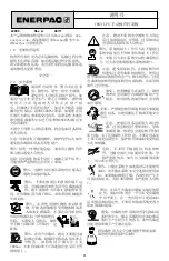 Preview for 41 page of Enerpac VM43-LPS Instruction Sheet