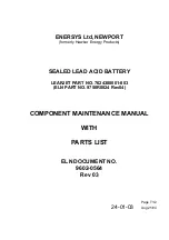 Предварительный просмотр 1 страницы EnerSys 7624308001-003 Maintenance Manual